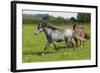 Farm UK 008-Bob Langrish-Framed Photographic Print