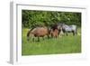 Farm UK 010-Bob Langrish-Framed Photographic Print