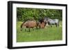 Farm UK 010-Bob Langrish-Framed Premium Photographic Print