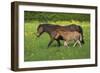 Farm UK 011-Bob Langrish-Framed Photographic Print