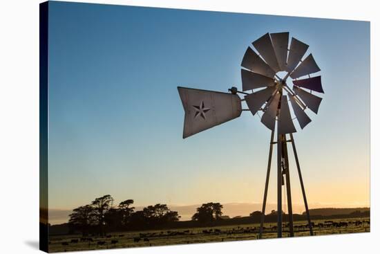 Farm Windmill-rghenry-Stretched Canvas
