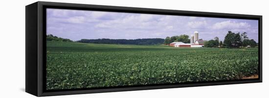 Farm, Wisconsin, USA-null-Framed Stretched Canvas