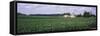 Farm, Wisconsin, USA-null-Framed Stretched Canvas