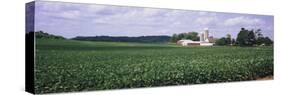 Farm, Wisconsin, USA-null-Stretched Canvas