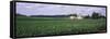 Farm, Wisconsin, USA-null-Framed Stretched Canvas