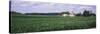 Farm, Wisconsin, USA-null-Stretched Canvas