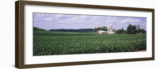 Farm, Wisconsin, USA-null-Framed Photographic Print