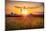 Farm with Grain Silos at Sunset, Hunterdon County, New Jersey-George Oze-Mounted Photographic Print