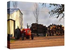 Farm with Old Red Tractor and Firewood, Montevideo, Uruguay-Per Karlsson-Stretched Canvas