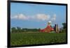 Farm with Red Barn and Corn, Milford Center, Ohio-Bill Bachmann-Framed Premium Photographic Print