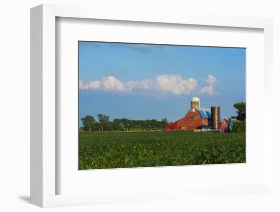 Farm with Red Barn and Corn, Milford Center, Ohio-Bill Bachmann-Framed Photographic Print