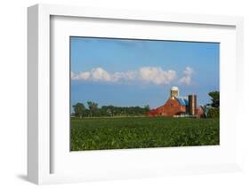 Farm with Red Barn and Corn, Milford Center, Ohio-Bill Bachmann-Framed Photographic Print