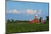 Farm with Red Barn and Corn, Milford Center, Ohio-Bill Bachmann-Mounted Photographic Print