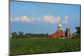 Farm with Red Barn and Corn, Milford Center, Ohio-Bill Bachmann-Mounted Photographic Print