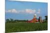 Farm with Red Barn and Corn, Milford Center, Ohio-Bill Bachmann-Mounted Photographic Print