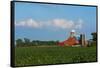 Farm with Red Barn and Corn, Milford Center, Ohio-Bill Bachmann-Framed Stretched Canvas