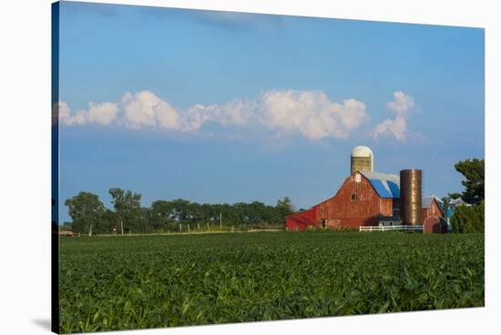 Farm with Red Barn and Corn, Milford Center, Ohio-Bill Bachmann-Stretched Canvas