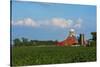 Farm with Red Barn and Corn, Milford Center, Ohio-Bill Bachmann-Stretched Canvas