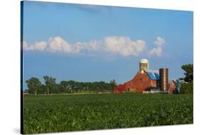 Farm with Red Barn and Corn, Milford Center, Ohio-Bill Bachmann-Stretched Canvas