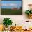 Farm with Red Barn and Corn, Milford Center, Ohio-Bill Bachmann-Framed Photographic Print displayed on a wall