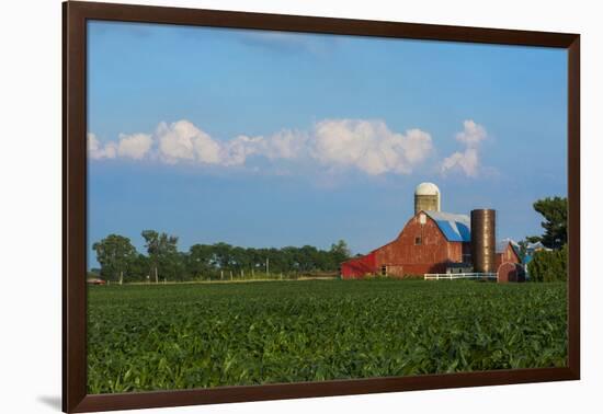 Farm with Red Barn and Corn, Milford Center, Ohio-Bill Bachmann-Framed Photographic Print