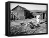 Farm Woman Feeding Her Chickens in a Small Coal Mining Town-Alfred Eisenstaedt-Framed Stretched Canvas