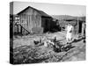 Farm Woman Feeding Her Chickens in a Small Coal Mining Town-Alfred Eisenstaedt-Stretched Canvas