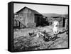 Farm Woman Feeding Her Chickens in a Small Coal Mining Town-Alfred Eisenstaedt-Framed Stretched Canvas