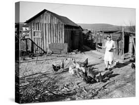 Farm Woman Feeding Her Chickens in a Small Coal Mining Town-Alfred Eisenstaedt-Stretched Canvas