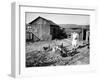 Farm Woman Feeding Her Chickens in a Small Coal Mining Town-Alfred Eisenstaedt-Framed Photographic Print