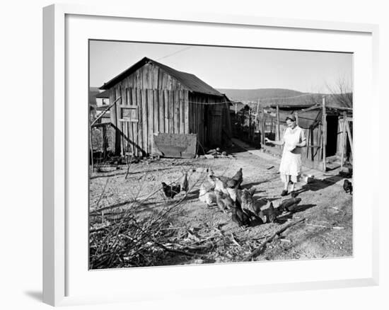 Farm Woman Feeding Her Chickens in a Small Coal Mining Town-Alfred Eisenstaedt-Framed Photographic Print