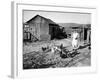 Farm Woman Feeding Her Chickens in a Small Coal Mining Town-Alfred Eisenstaedt-Framed Photographic Print