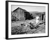 Farm Woman Feeding Her Chickens in a Small Coal Mining Town-Alfred Eisenstaedt-Framed Photographic Print