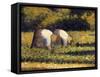 Farm Women at Work-Georges Seurat-Framed Stretched Canvas