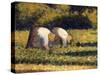 Farm Women at Work-Georges Seurat-Stretched Canvas