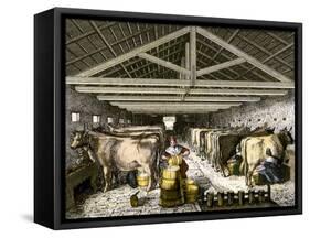 Farm Women Pouring Milk Into a Churn in Dairy Barn-null-Framed Stretched Canvas