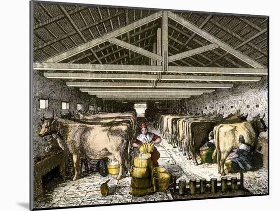 Farm Women Pouring Milk Into a Churn in Dairy Barn-null-Mounted Giclee Print