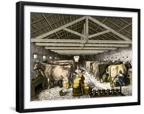 Farm Women Pouring Milk Into a Churn in Dairy Barn-null-Framed Giclee Print