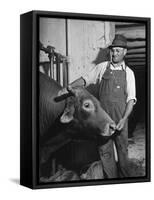 Farm Worker Petting One of the Cows Living on a Dairy Farm-Hansel Mieth-Framed Stretched Canvas