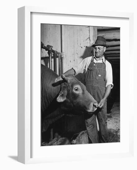 Farm Worker Petting One of the Cows Living on a Dairy Farm-Hansel Mieth-Framed Photographic Print