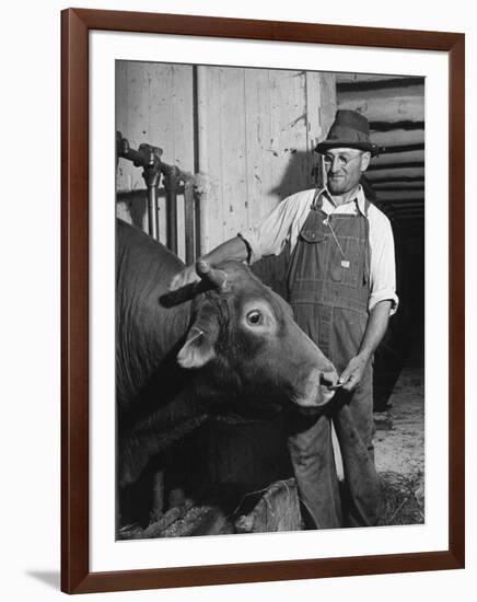 Farm Worker Petting One of the Cows Living on a Dairy Farm-Hansel Mieth-Framed Photographic Print