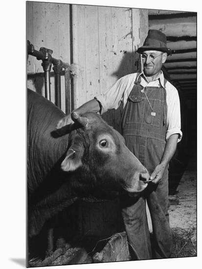 Farm Worker Petting One of the Cows Living on a Dairy Farm-Hansel Mieth-Mounted Photographic Print