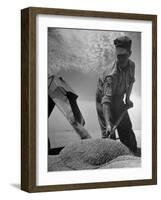 Farm Worker Shoveling Harvested Wheat-Ed Clark-Framed Photographic Print