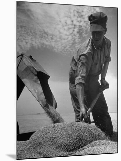 Farm Worker Shoveling Harvested Wheat-Ed Clark-Mounted Photographic Print