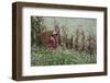 Farm Worker with Basket, Kunming Dongchuan Red Lands, China-Darrell Gulin-Framed Photographic Print