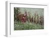 Farm Worker with Basket, Kunming Dongchuan Red Lands, China-Darrell Gulin-Framed Photographic Print