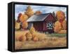 Farm-Debbi Wetzel-Framed Stretched Canvas