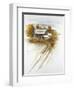 Farm-null-Framed Giclee Print