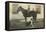 Farmboy with Cat on Horse and Dog-null-Framed Stretched Canvas