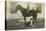 Farmboy with Cat on Horse and Dog-null-Stretched Canvas